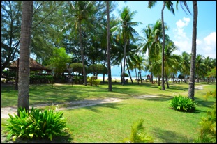 Beach View
